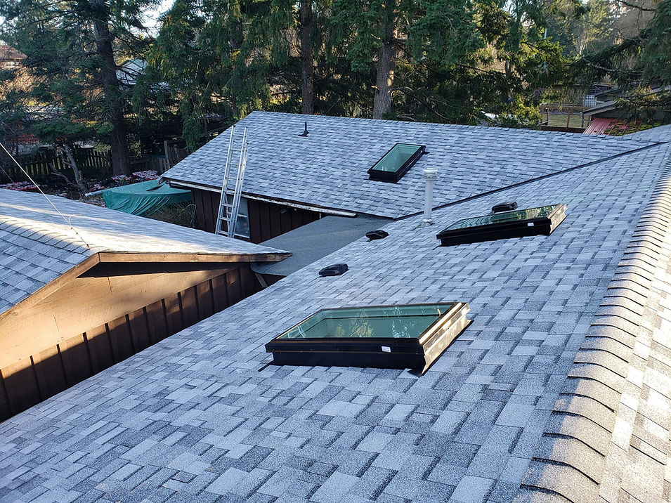 flat to 3 skylights shingle.jpeg