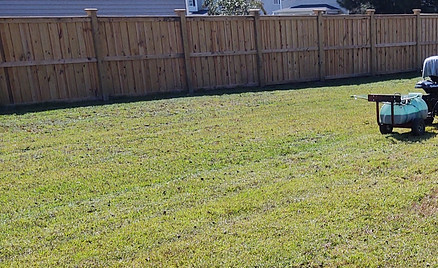 IMG_20211014_113808187_edited.jpg