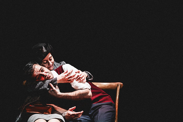 La Promesse de l'aube 072 copie.jpg