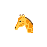 8.png