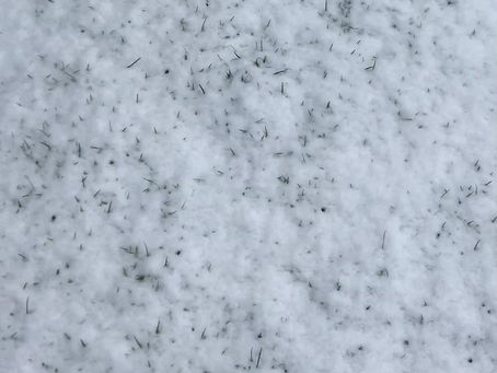 The poet John Clare may describe this as "clunching"