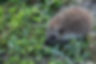 Fotoss QEM WEBSITE-472.jpg