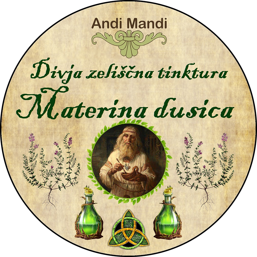 Divja zeliščna tinktura Materina dušica