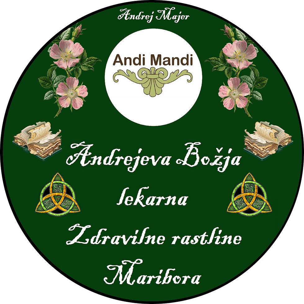 Andrejeva Božja lekarna – Zdravilne rastline Maribora