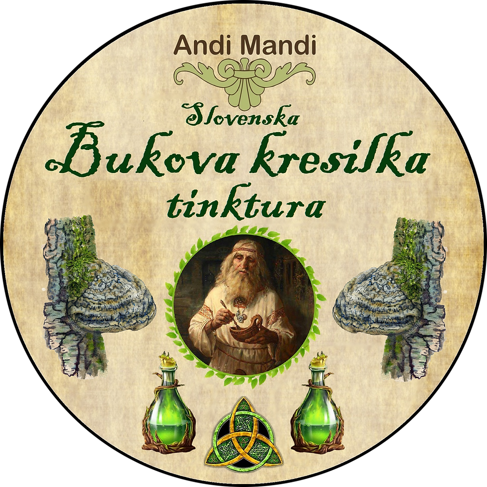 Bukova kresilka tinktura (Fomes fomentarius)