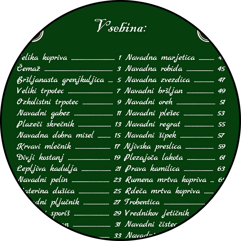 📖 Božja lekarna Zelena prva pomoč – Knjižica o zdravilnih rastlinah 📖
