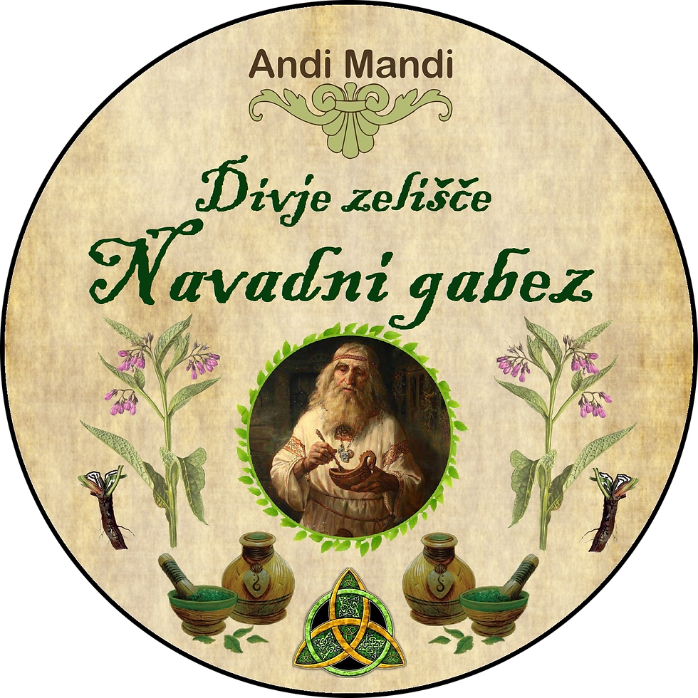 Zeliščni čaj navadni gabez