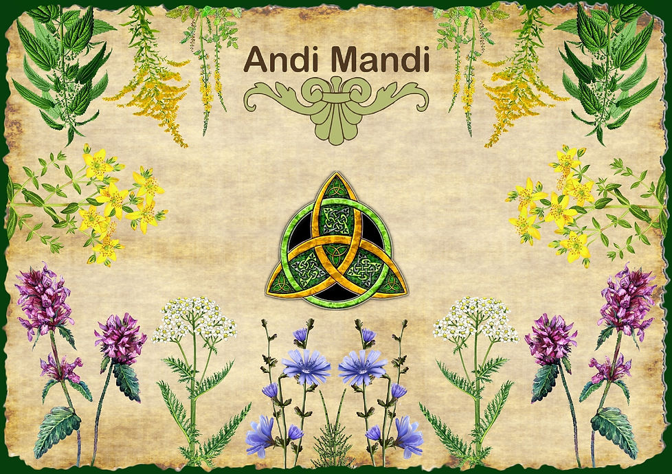 ANDI MANDI FOTOGRAFIJA NOVA VERZIJA.jpg