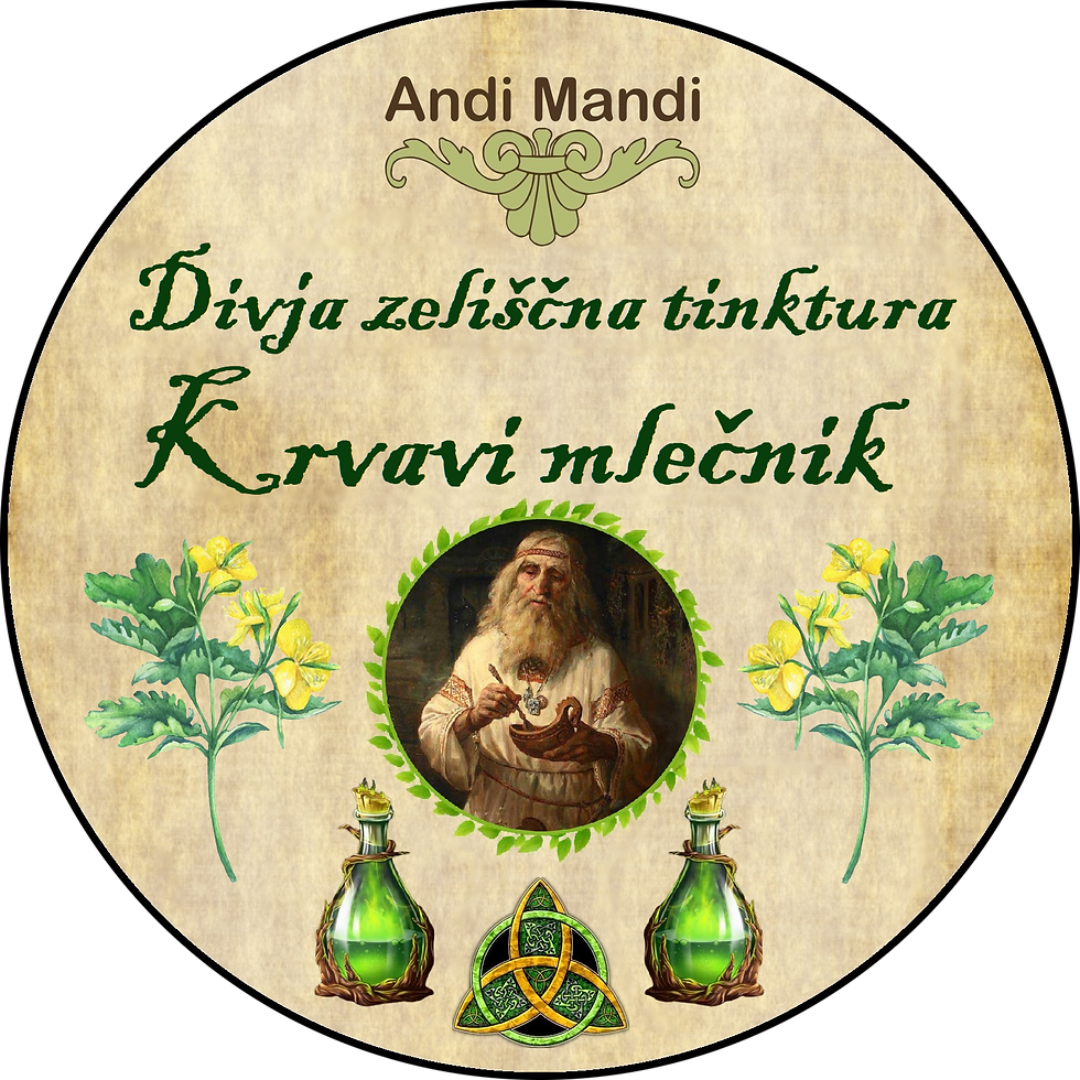 Divja zeliščna tinktura Krvavi mlečnik