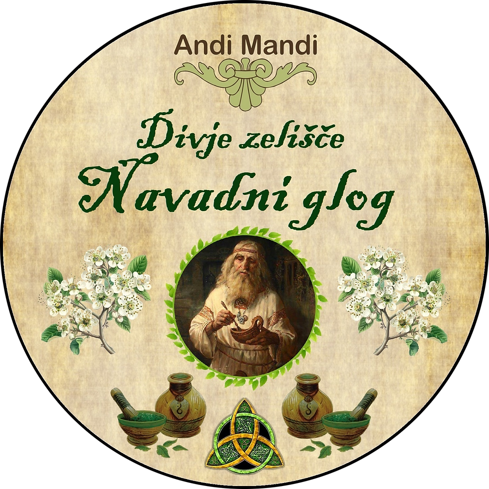 Zeliščni čaj navadni glog