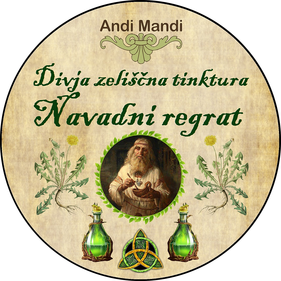 Divja zeliščna tinktura Navadni regrat