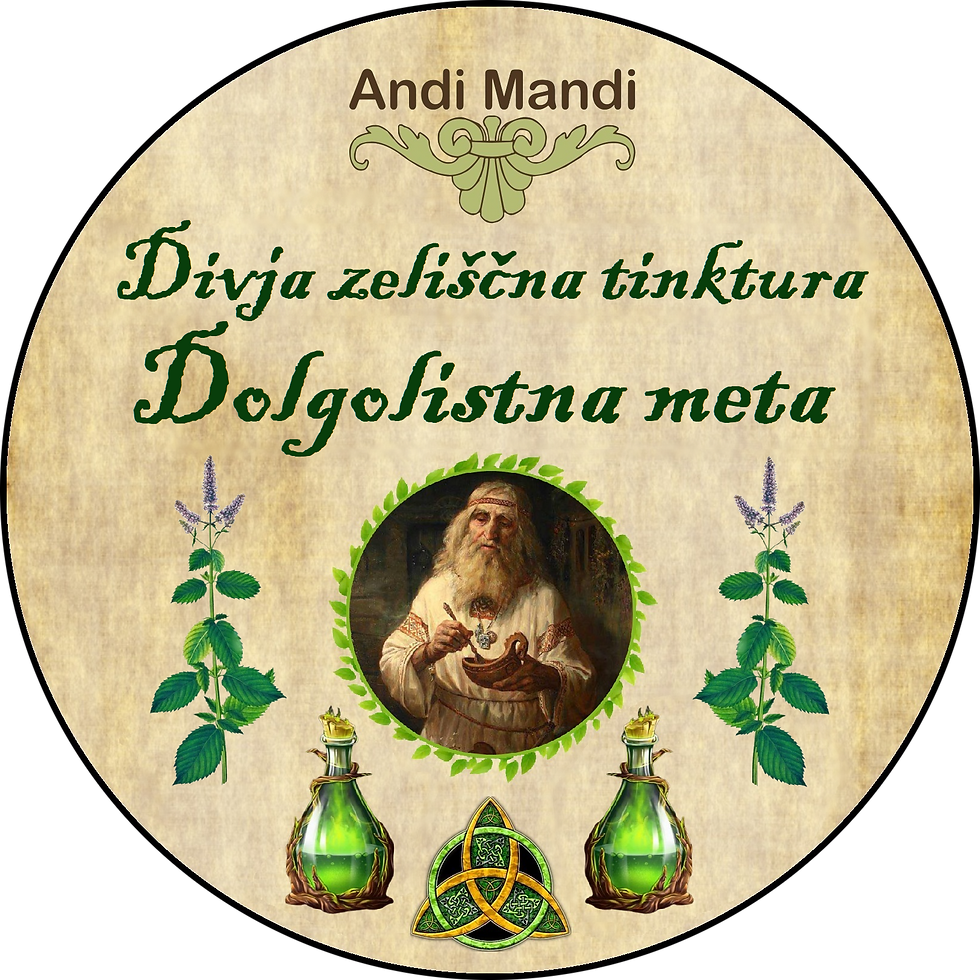 Divja zeliščna tinktura Dolgolistna meta