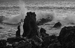 QUIET STORM_WEB
