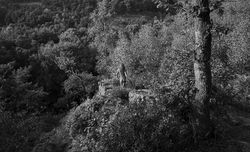CONTEMPLATION _WEB