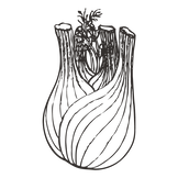 Fenchel