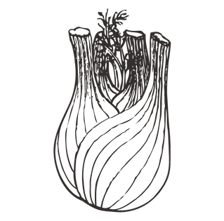 Hinojo