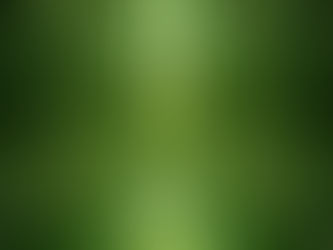 We live in a Holographic World and Actual Reality!