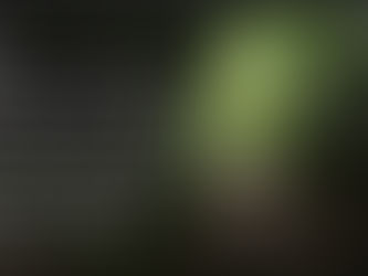 The Way - The Narrow Path 