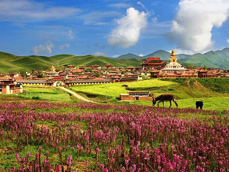 Shambhala - Inner Sanctum of the New Earth