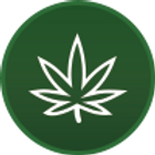 Grass Station Coupons and Deals