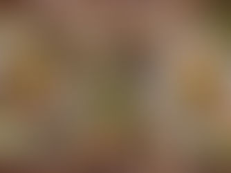 A Foodie's Guide to Malaysia: Must-Try Dishes Across the States