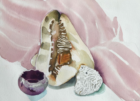 Kings Helmut and Coral Still Life, 2019, Watercolor
Click to Buy