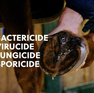 Equine Bio Genie Bio Security