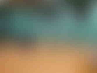 Festival of Volleyball 2025