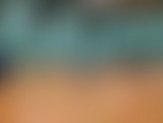 Festival of Volleyball 2025