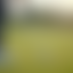 Achieve Your Best Game with Golf Lessons