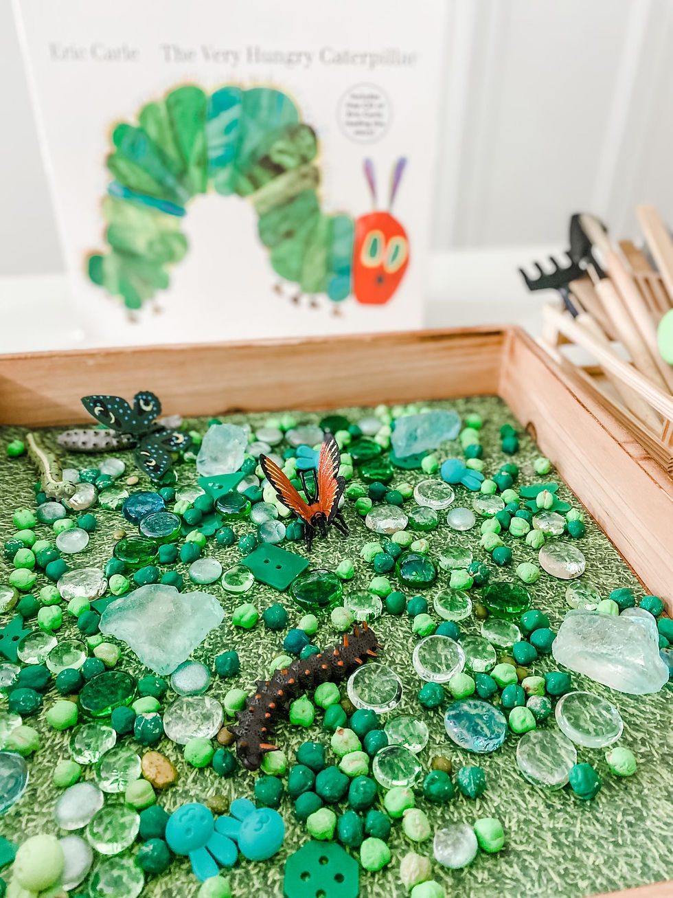 Eric Carle Book Study- The Very Hungry Caterpillar