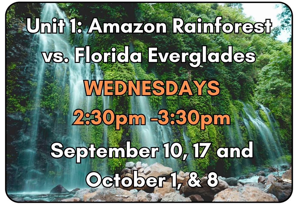 Wednesday School at BCI classes