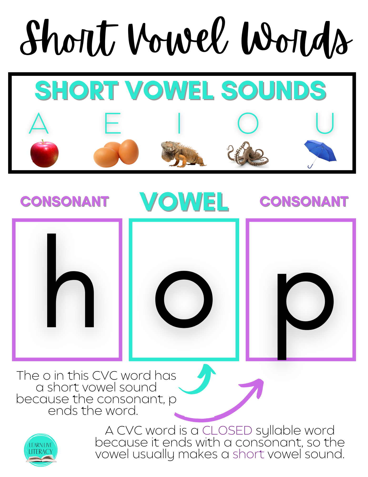Short Vowel  Handout Journal Page