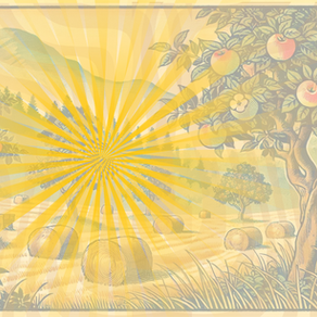 The Power of Metta Bhavana Meditation: From Loving-Kindness to Insight