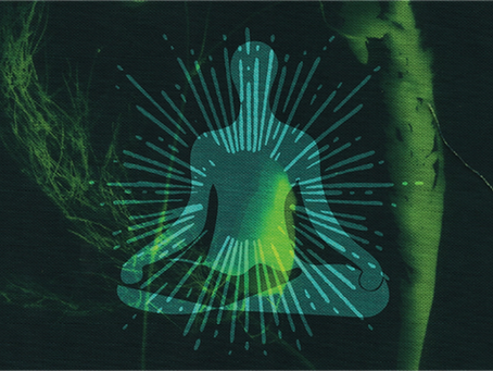 Don’t Leave your Body Behind: The Role of the Body on the Buddhist Path
