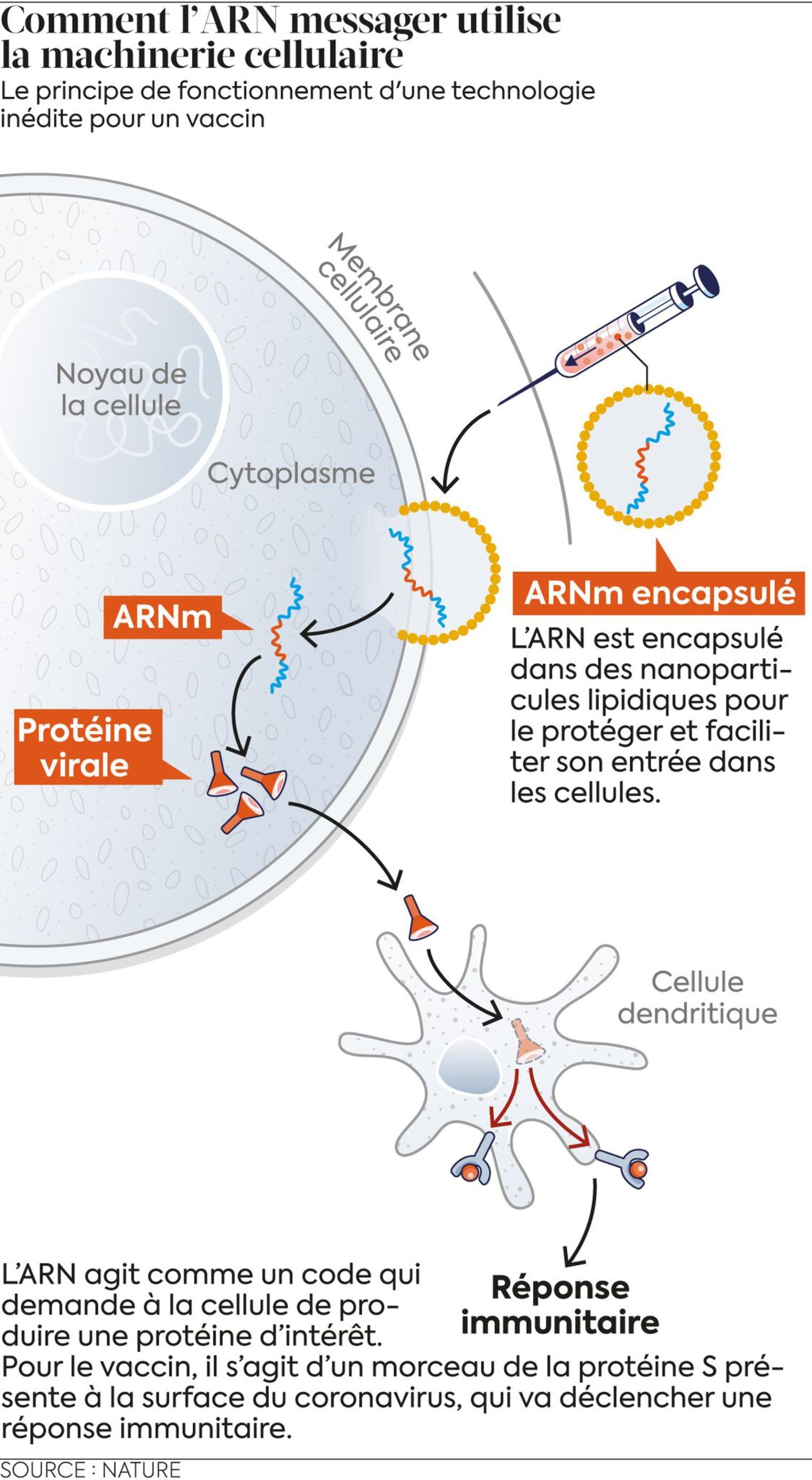 Vaccin à ARNm