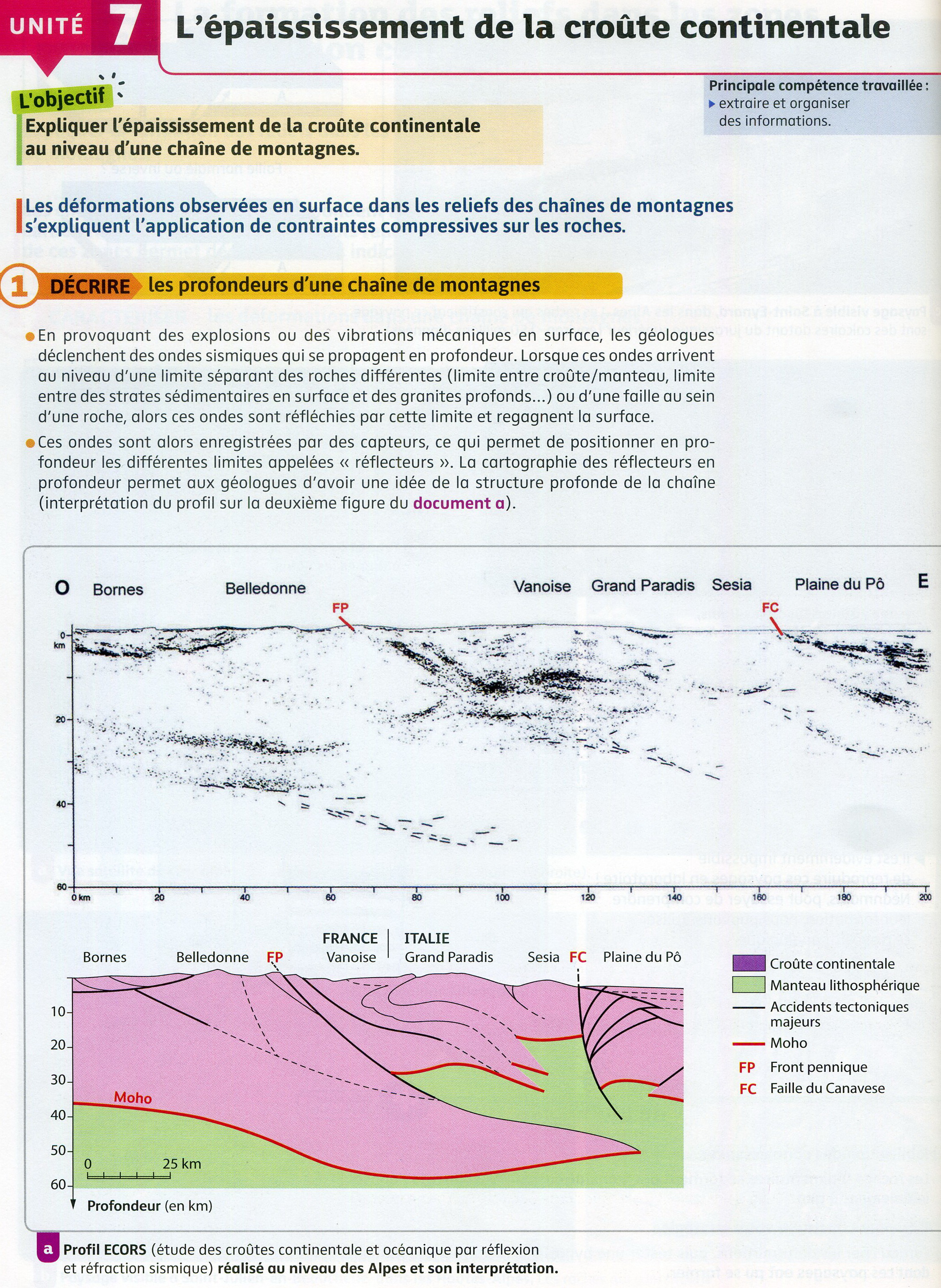 Activité 8 collision épaississement (1).