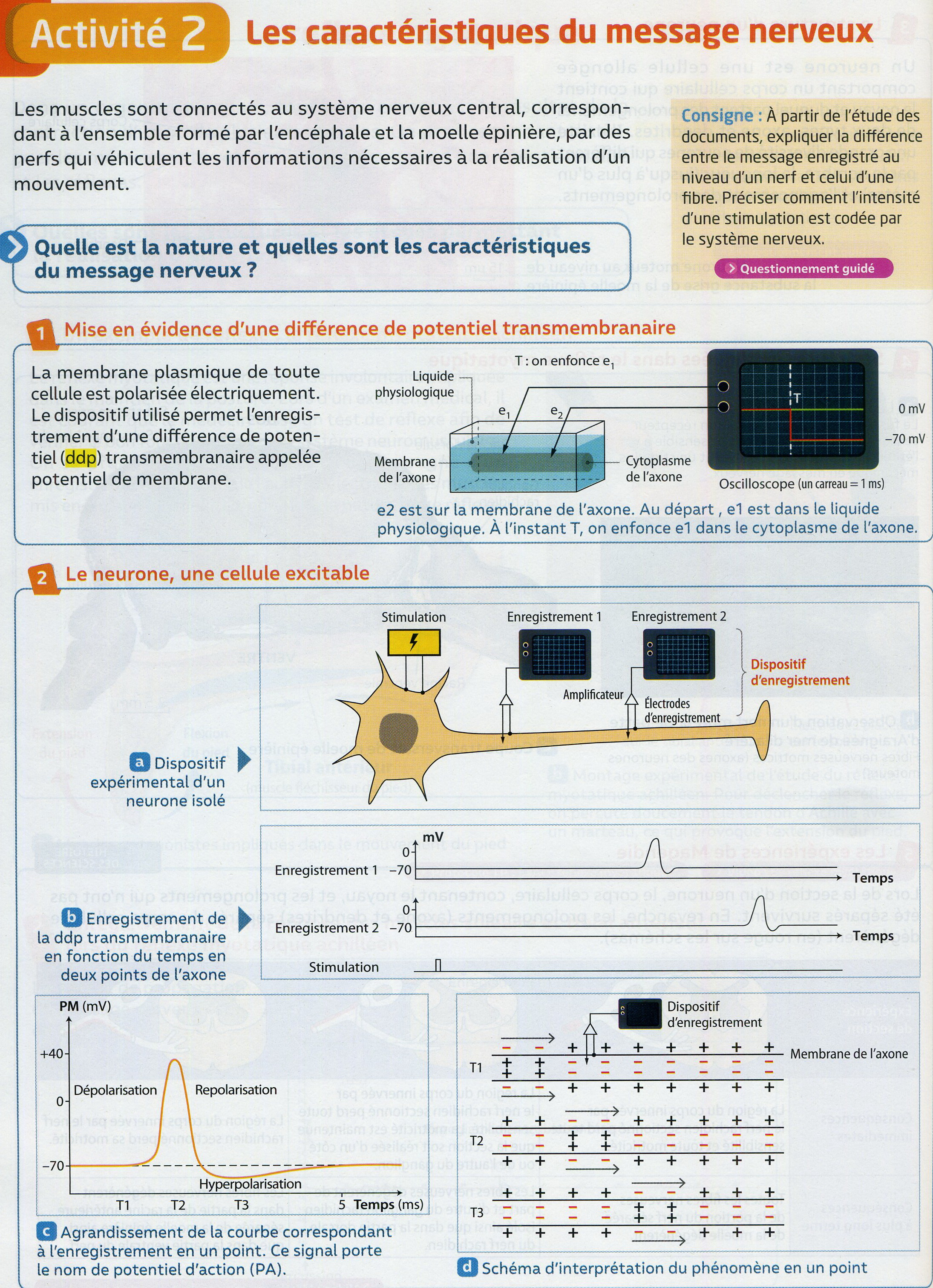 Activité 1 mn caractéristiques (1)
