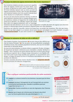 Activité 4 L'évolution de l'anatomie hum