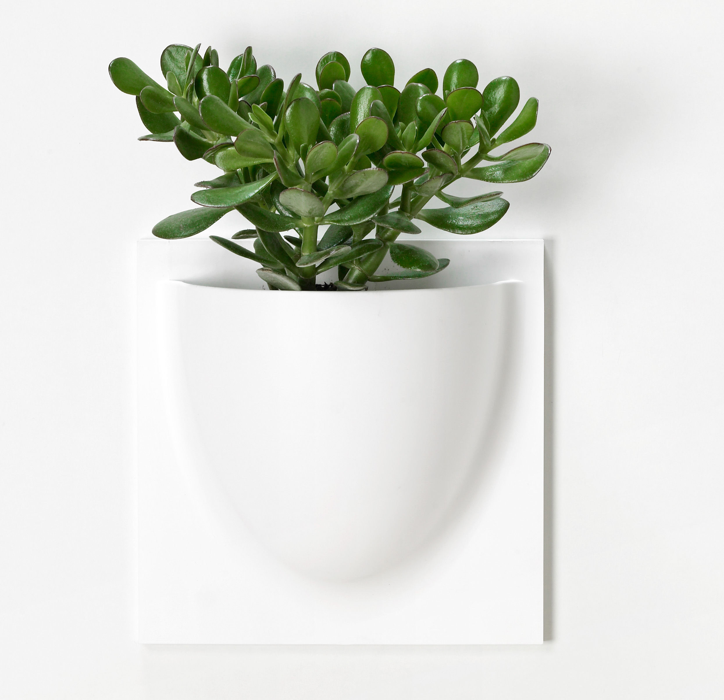 VertiPlants weiss