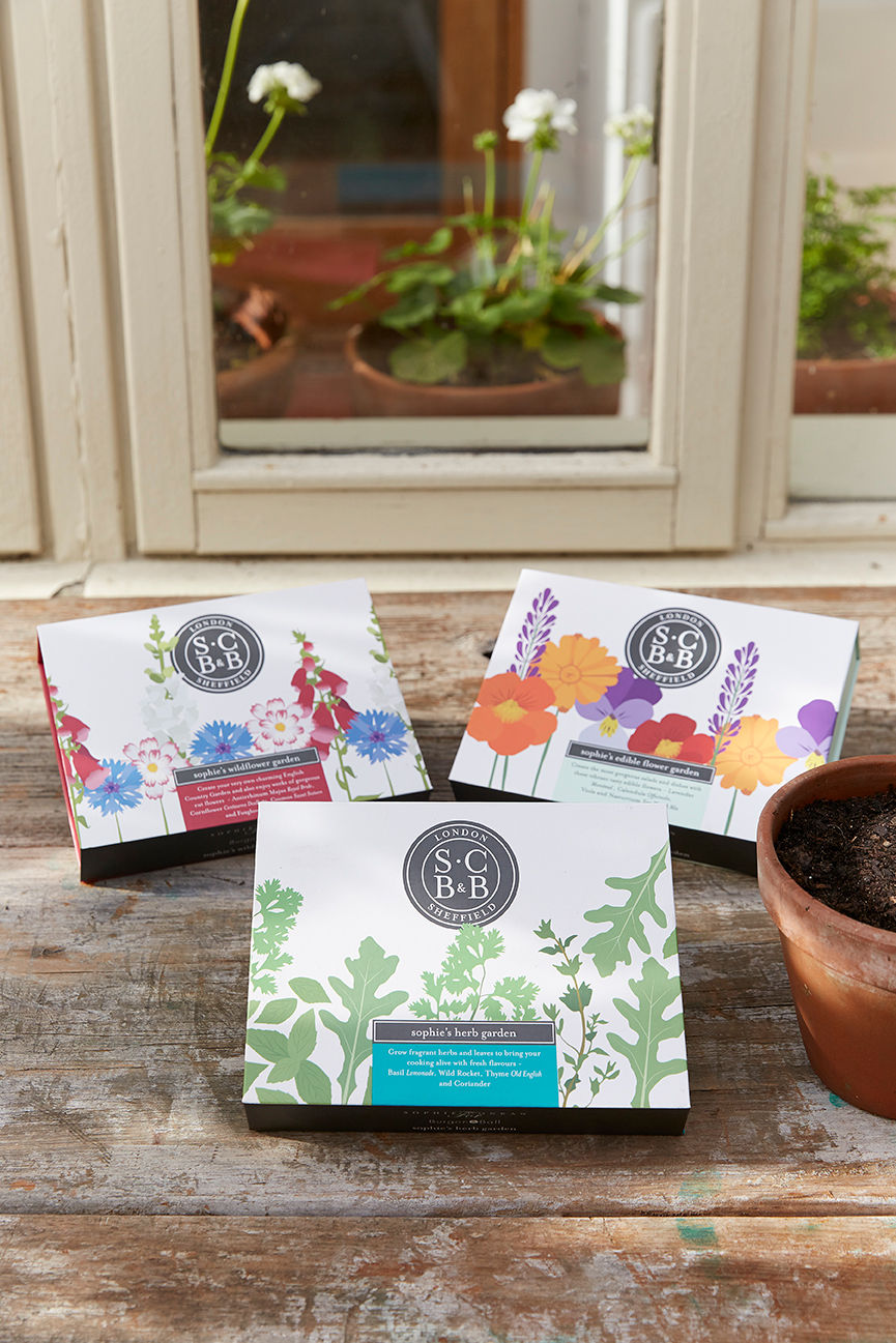 Miniaturbild: Sophie Conran Wild Blume Samen