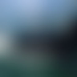 The Cetacean Respiratory Stystem