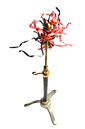 IMG_8293-removebg-preview.png
