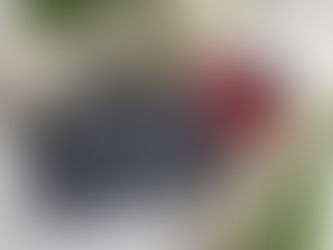 Svētki strauji tuvojas!😍