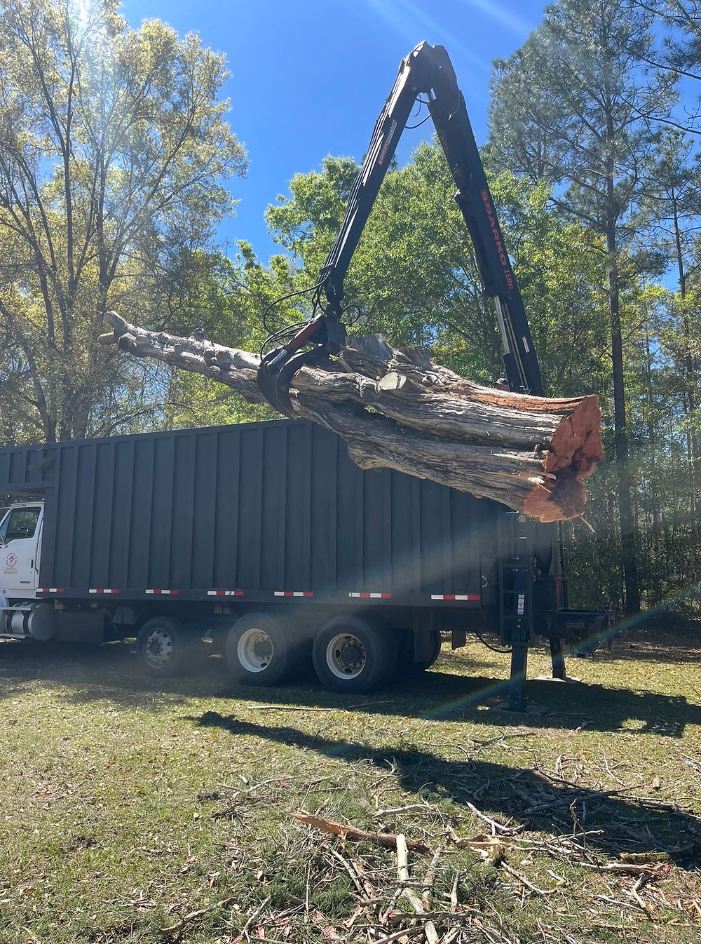 Log loader crane lifting a large timber log into a truck