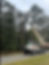 Boom truck crane lifting a worker into tall pine trees