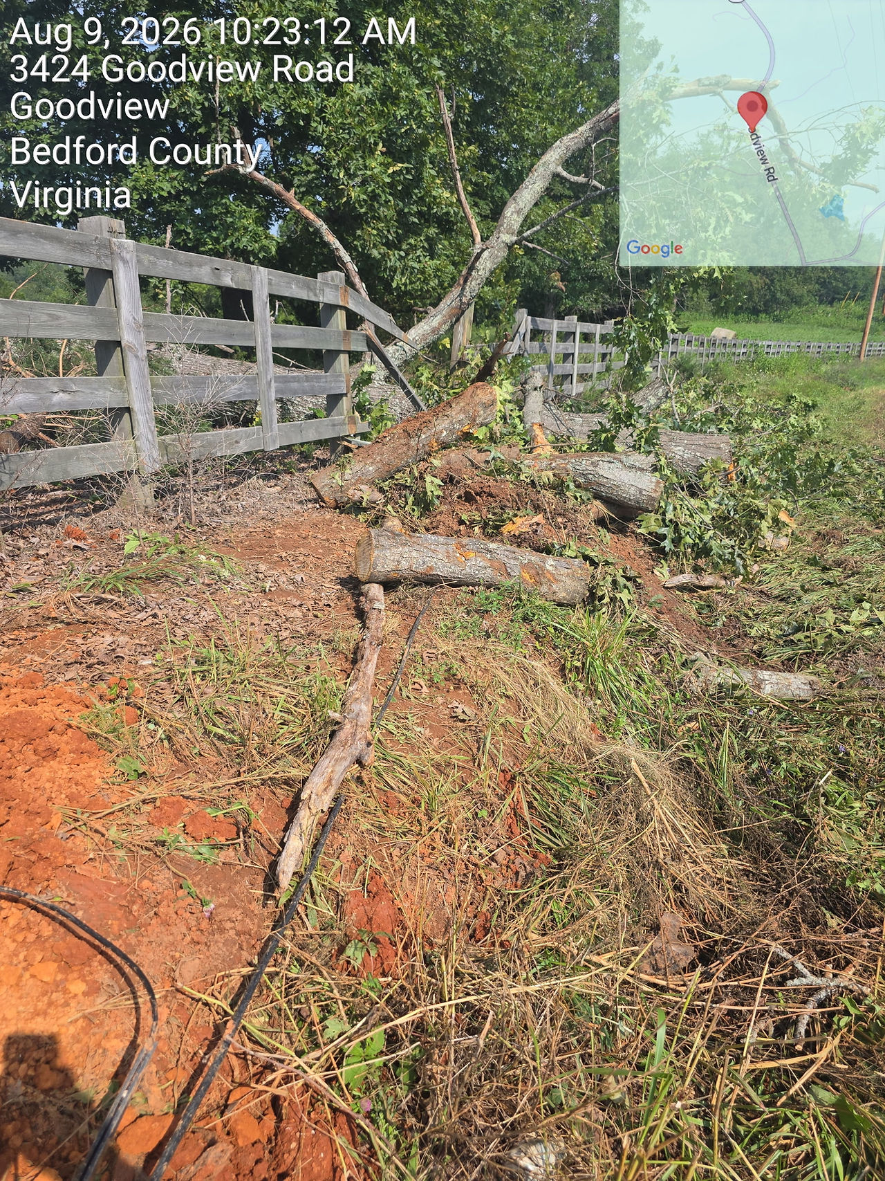 Tree down 