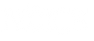 niiice.is logo white