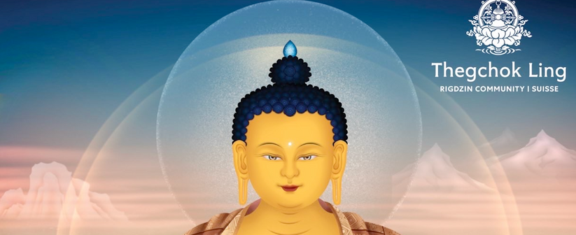 Capture d’écran 2024-09-03 à 13.24.13.png