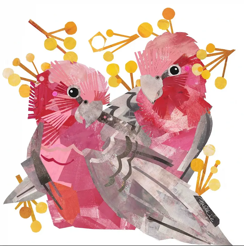 Fi Wilkie - Galahs